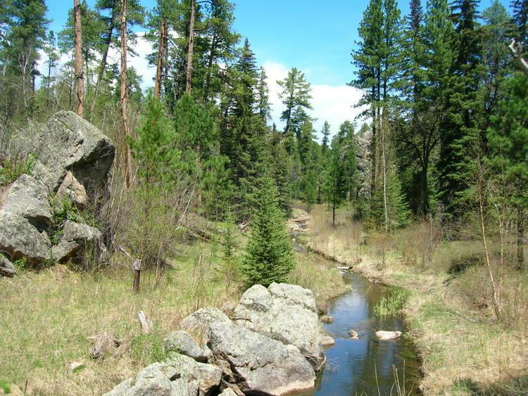 Black Elk Wilderness wwwsummitpostorgimagesoriginal534209jpg