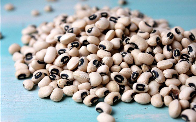 Black eyed pea - Alchetron, The Free Social Encyclopedia