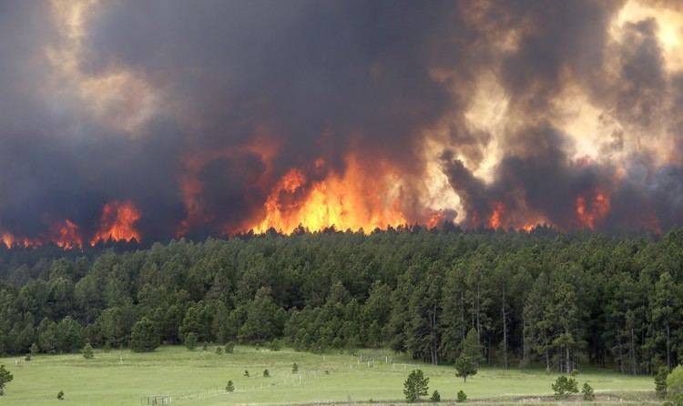 Black Forest Fire Black Forest Fire Colorado Residents Flee As Massive Blaze Scorches