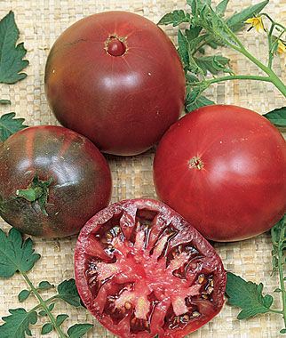 Black Krim Black Krim Tomato Seeds and Plants Vegetable Gardening at Burpeecom