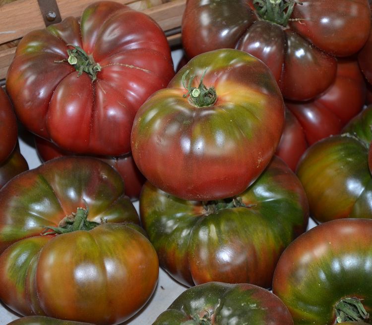 Black Krim Black Krim Tomato Seeds