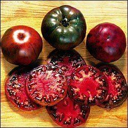 Black Krim 9GreenBoxs Tomato Black Krim Tomato 30 Seeds Russian Heirloom