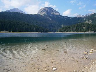 Black Lake (Montenegro) httpsuploadwikimediaorgwikipediacommonsthu