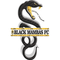 Black Mambas F.C. wwwdatasportsgroupcomimagesclubs200x20014397
