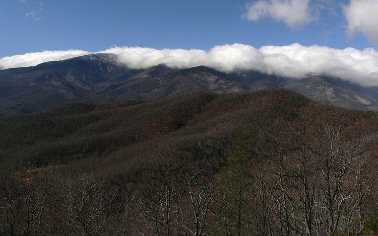 Black Mountains (North Carolina) httpsuploadwikimediaorgwikipediacommonsthu