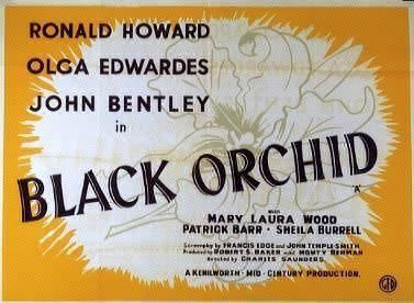 Black Orchid (1953 film) httpsuploadwikimediaorgwikipediaen33522