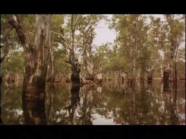 Black River (1993 film) BLACK RIVER 1993 in MAD FILMS on Vimeo