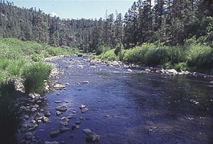 Black River (Arizona) httpsuploadwikimediaorgwikipediacommonsthu