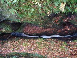 Black Rock Gorge httpsuploadwikimediaorgwikipediacommonsthu