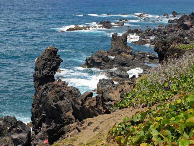 Black Rocks (Saint Kitts) Must See St Kitts Attractions and Historic Sites