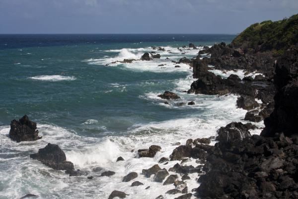 Black Rocks (Saint Kitts) Black Rocks Saddlers Travel Story and Pictures from Saint Kitts