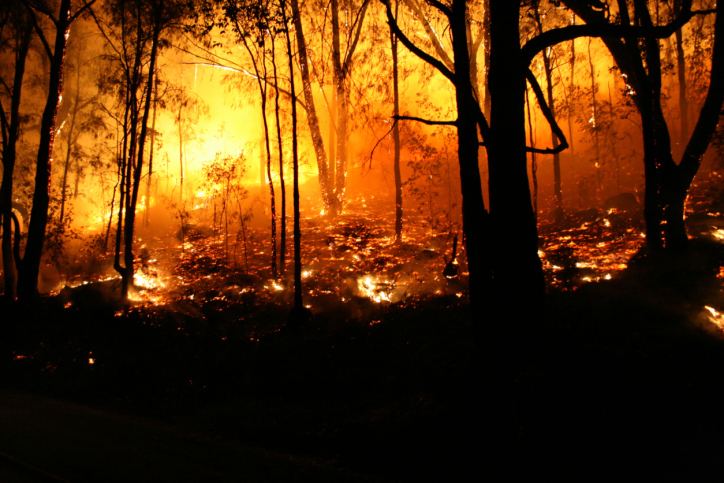 Black Saturday bushfires Lives and homes still 39at risk39 while bushfire reforms incomplete Mojo