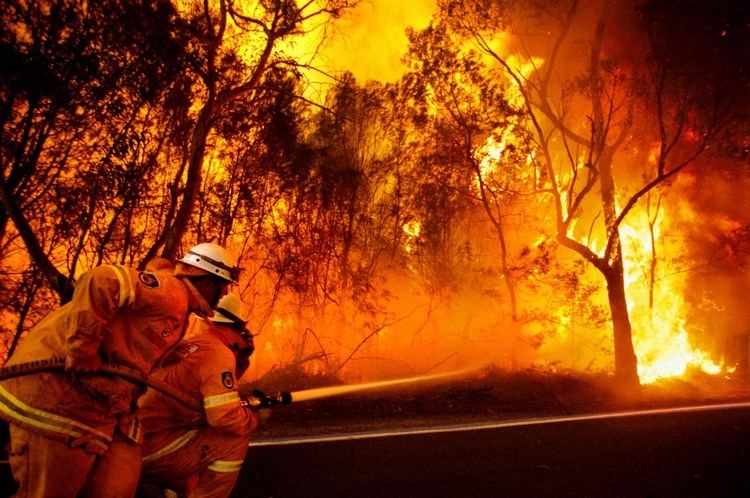 Black Saturday bushfires Black Saturday Bushfires Rapid Environmental Response UnitRapid