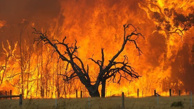 Black Saturday bushfires Black Saturday bushfires RMIT researchers devise a plan that could