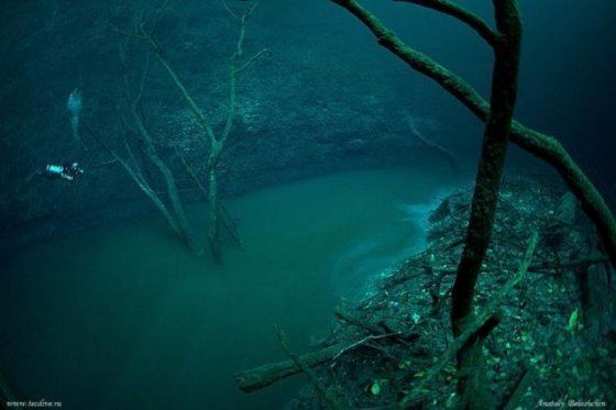 Black Sea undersea river Remarkable Rivers With Trees Leaves And Waterfalls Hidden Under The