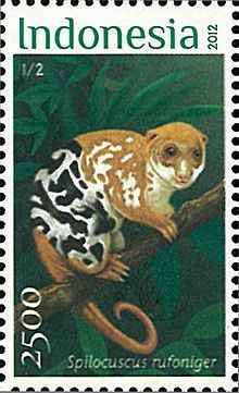 Black-spotted cuscus httpsuploadwikimediaorgwikipediacommonsthu