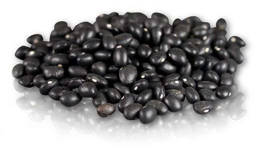 Black turtle bean Dried Black Turtle Beans Black Beans Marx Pantry