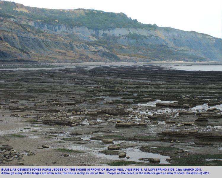 Black Ven Lyme Regis to Charmouth Geology by Ian West