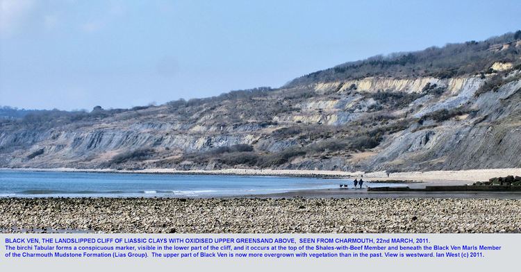 Black Ven Lyme Regis to Charmouth Geology by Ian West