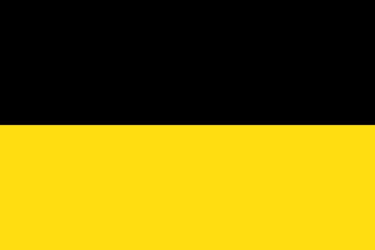 Black-Yellow Alliance