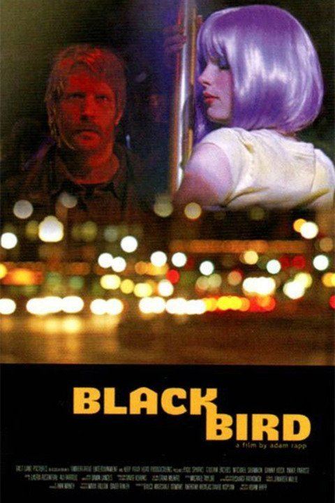 Blackbird (2007 film) wwwgstaticcomtvthumbmovieposters9709755p970