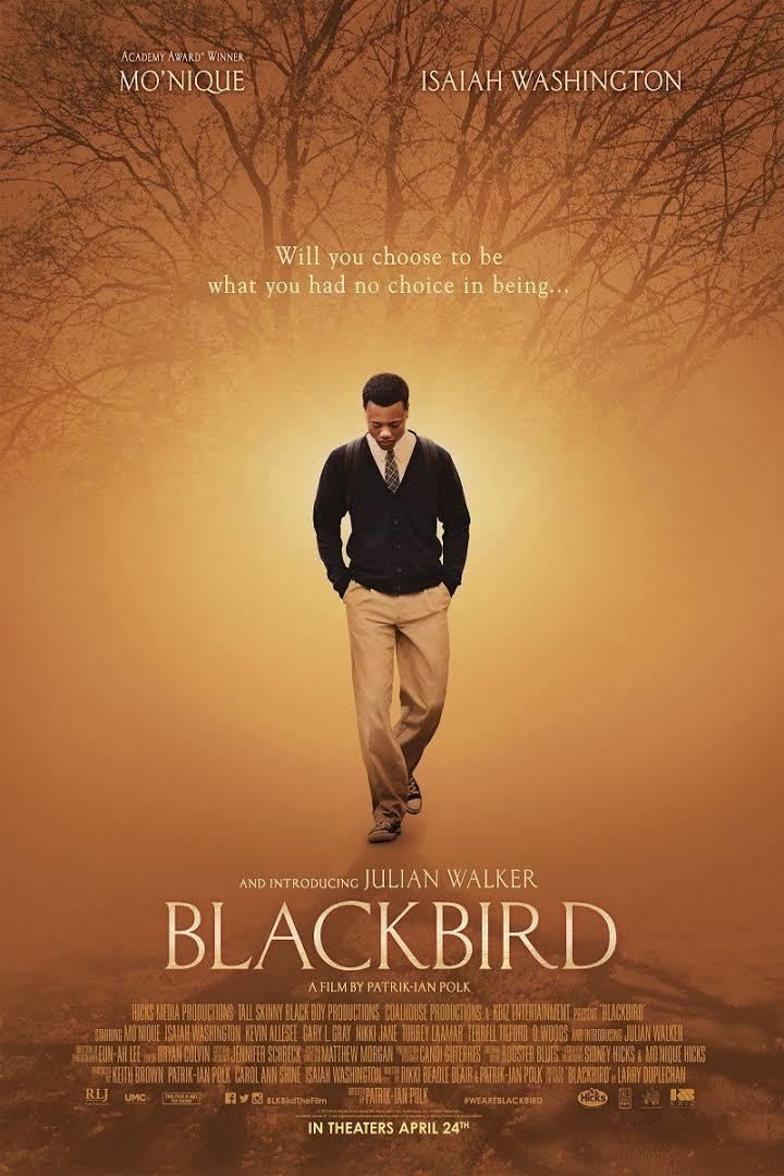 Blackbird (2014 film) t0gstaticcomimagesqtbnANd9GcRjLcXT8l2CgEWQGs