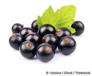 Blackcurrant What Is Black Currant Good For Mercolacom