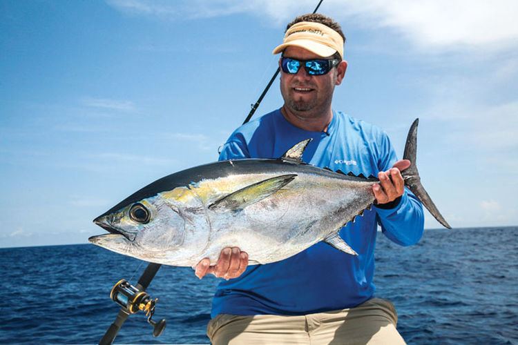 Blackfin tuna Blackfin Tuna Fishing in the Florida Keys Salt Water Sportsman