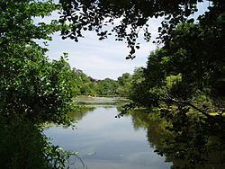Blackford Pond httpsuploadwikimediaorgwikipediacommonsthu