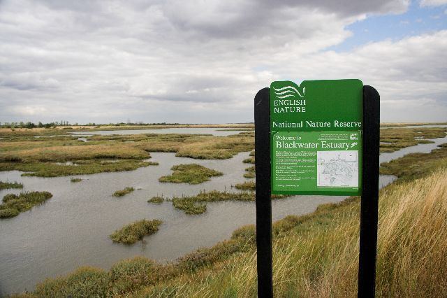 Blackwater Estuary Sign marking start of Blackwater Estuary Matthew Barker