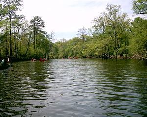 Blackwater River (Virginia) httpsuploadwikimediaorgwikipediacommonsthu