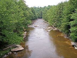 Blackwater River (West Virginia) httpsuploadwikimediaorgwikipediacommonsthu