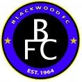 Blackwood F.C. httpsuploadwikimediaorgwikipediaenff8Bla