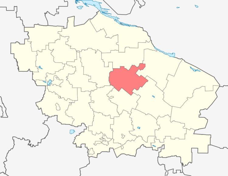 Blagodarnensky District