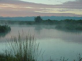Blanca Wetlands httpsuploadwikimediaorgwikipediacommonsthu