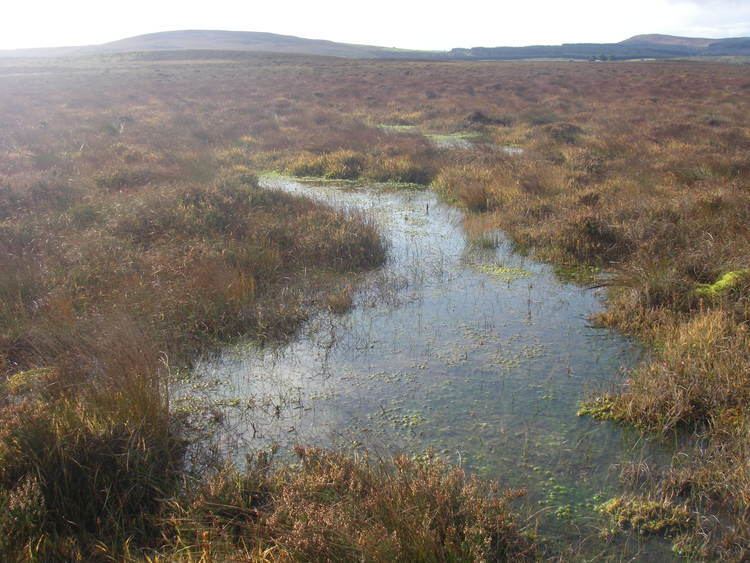 Blanket bog Alchetron, The Free Social Encyclopedia