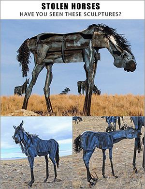 Bleu Horses bleuhorsescomimagesbleuhorsesstolenjpg