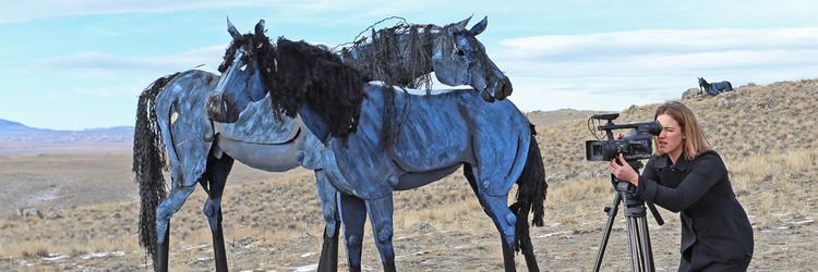 Bleu Horses News Coverage Bleu Horses by Jim Dolan