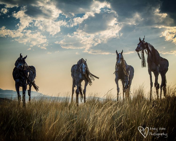 Bleu Horses Bleu Horses of Three Forks Montana Tales from the Backroad