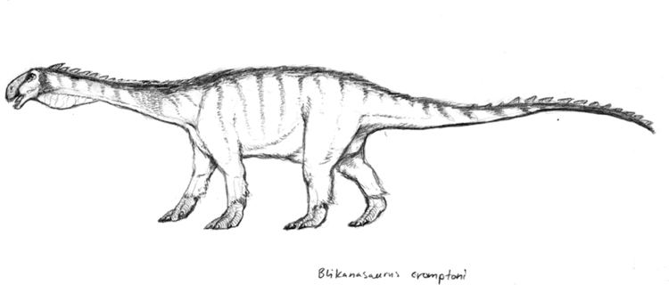 Blikanasaurus Blikanasaurus Cromptoni by Dinostavros on DeviantArt