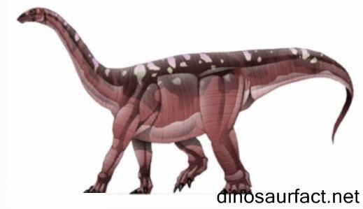 Blikanasaurus Blikanasaurus Pictures amp Facts The Dinosaur Database