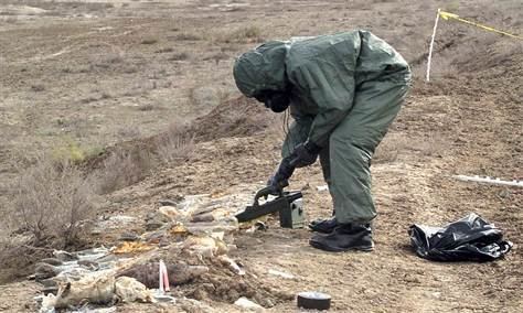 Blister agent Iraqi mortar shells containing chemicals found World news