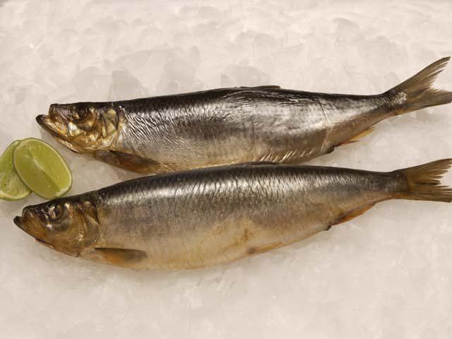 Bloater (herring) wwwthefishsocietycoukbinarydata137157015jpg