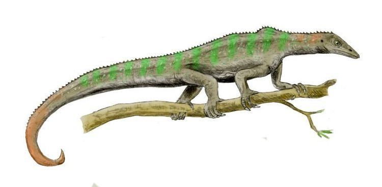 Blomosuchus