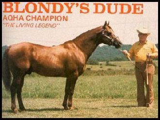 Blondy's Dude CT Quarter Horses QS Crystal Dun It