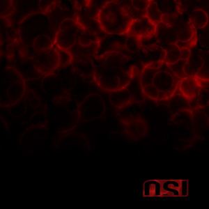 Blood (OSI album) httpsuploadwikimediaorgwikipediaen001OSI