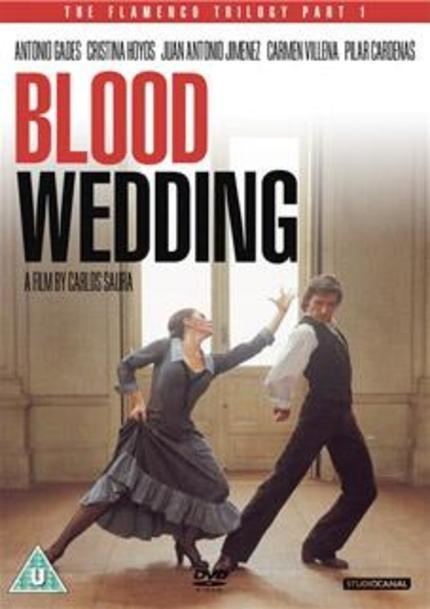 Blood Wedding (1981 film) Review The Flamenco Trilogy BLOOD WEDDING 1981