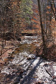 Bloody Run (West Branch Fishing Creek) httpsuploadwikimediaorgwikipediacommonsthu