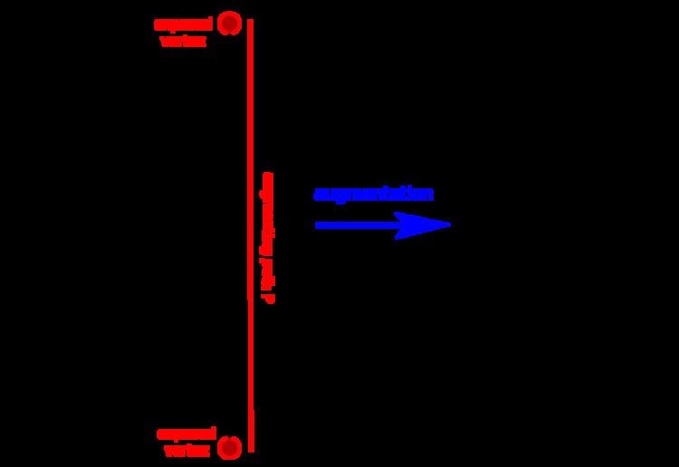 Blossom algorithm