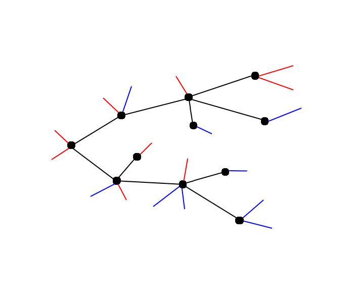 Blossom tree (graph theory)